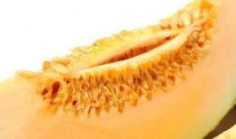 吃瓜大白9,一场关于瓜农生活的深度对话