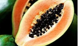 吃瓜丰胸吗,吃瓜真的能丰胸吗？