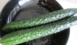 绞瓜吃馅,传统美食的创新演绎