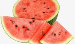 创意吃瓜图片图文素材,趣味图文素材大盘点