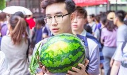 万邦吃瓜比赛,一场舌尖上的狂欢盛宴