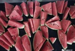 涿鹿县吃瓜,瓜果飘香，品味田园生活新篇章