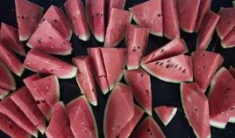 涿鹿县吃瓜,瓜果飘香，品味田园生活新篇章