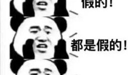 只会吃瓜的傻瓜,瓜界傻瓜的趣味食瓜日记