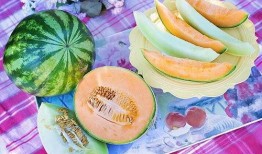 梦见别人给瓜吃,揭秘瓜食梦境的深层寓意