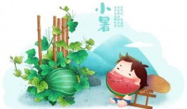 小暑吃瓜喝茶文案简短