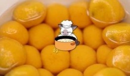 重庆汤圆吃瓜视频