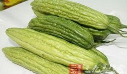 小时候吃凉瓜视频下载