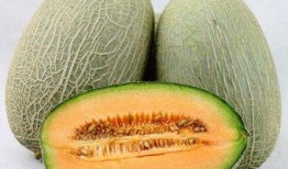 经常吃哈密瓜能美容吗,日常食用助你美丽加分