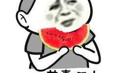 吃瓜群众吴大爷视频,揭秘娱乐圈幕后故事