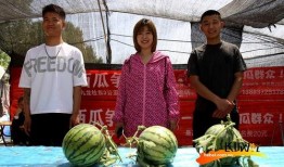 吃瓜争霸赛图片,一场视觉盛宴与味蕾挑战的巅峰对决