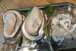 海口翻墙吃瓜,一窥网络另一面的“吃瓜”世界