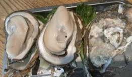 海口翻墙吃瓜,一窥网络另一面的“吃瓜”世界