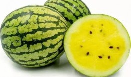 lse吃瓜,揭秘校园热点事件背后的真相