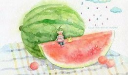 贝壳吃瓜全集,揭秘娱乐圈背后的秘密与真相