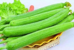 吃货瓜三盒,探寻美食背后的故事与传奇