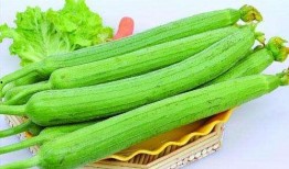 吃货瓜三盒,探寻美食背后的故事与传奇