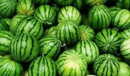 怎么加入吃瓜群,一起加入吃瓜狂欢的大家庭！