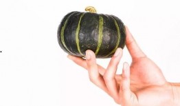 宝宝小瓜怎么吃,宝宝小瓜的多样食用攻略