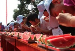 吃瓜大赛山东,瓜香四溢，欢乐满园