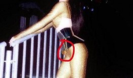 lisa吃瓜群众,瓜田里的明星，吃瓜群众的焦点