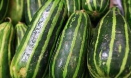 怀化梢瓜怎么吃,解锁家常美味新境界