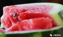 小坨坨吃瓜,揭秘娱乐圈那些不为人知的幕后故事