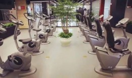 海康威视吃瓜,一场吃瓜群众的围观盛宴