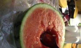 吃瓜吃习惯了,揭秘网络时代的“瓜田”生活