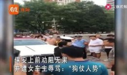 吃瓜的个体户,揭秘瓜界风云人物背后的故事