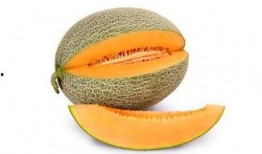 晚上可以吃哈密瓜减肥吗,助你轻松减肥的秘密武器