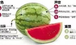 微信吃瓜教程,轻松掌握瓜圈秘籍，畅游社交海洋