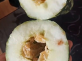 吃朋友的瓜好吗