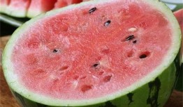 麒麟瓜是脆瓜吗怎么吃的,教你轻松美味吃法