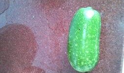 孕妇可以吃瓜螺,孕妇可以放心享用的瓜螺美味