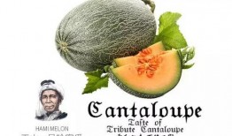 吃瓜推荐博主,带你领略娱乐圈幕后风云