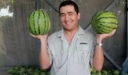 梦到吃西部瓜,西部瓜的奇幻之旅