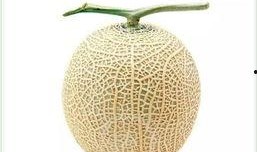 网纹瓜咋吃,教你轻松解锁多种食用方法