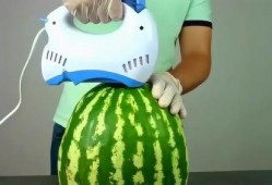 有关吃瓜的创意短片