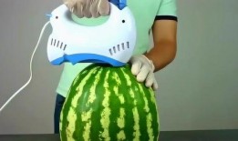 有关吃瓜的创意短片