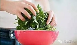 肠胀气可以吃瓜吗,吃瓜真的可行吗？揭秘瓜类食物的神奇功效
