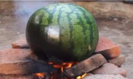 能煮着吃的瓜,能煮着吃的瓜类美食探索