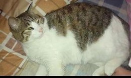 猫猫吃瓜个人账号,揭秘娱乐圈那些不为人知的幕后故事