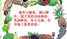 蛤蟆吃瓜ppt,一场趣味横生的视觉盛宴