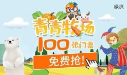 吃瓜喵娱乐报,揭秘娱乐圈最新热点，带你领略明星幕后故事