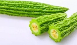 吃凉瓜口苦,揭秘夏日消暑美食的微妙滋味