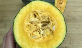 吃瓜大白9,一场关于瓜农生活的深度对话