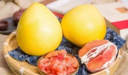 柚子吃瓜在线观看,畅享在线娱乐盛宴