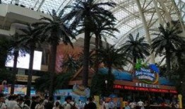 成都环球中心吃瓜