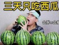吃瓜减肥吧,轻松享“瘦”，美味不减